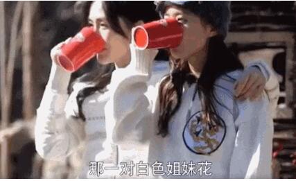 谢娜回应被认成赵丽颖 明明是感情要好却连连互怼