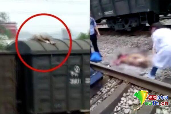 男子爬火车拍抖音被烧伤？知情人：为给顾客拍照片