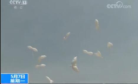 韩警挫败反朝传单发放活动 半岛和平民之所向