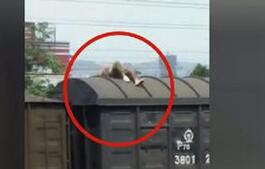 实力作死!想当网红惨被烧伤 男子爬火车触碰高压线