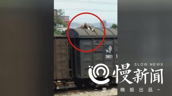 想当网红惨被烧伤 男子爬火车触碰高压线瞬间烧成火球血肉模糊