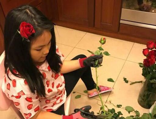 小公主!李湘晒女儿插花照美翻了 王诗龄披散黑发别了一朵玫瑰