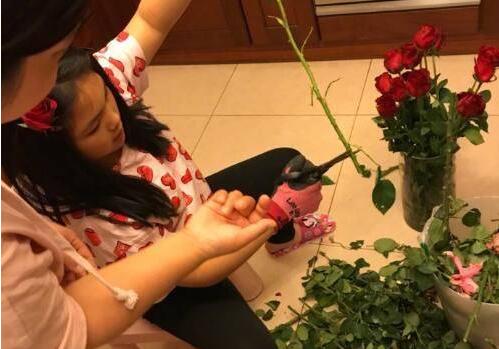 李湘晒女儿插花照 王诗龄多才多艺李湘下足了功夫