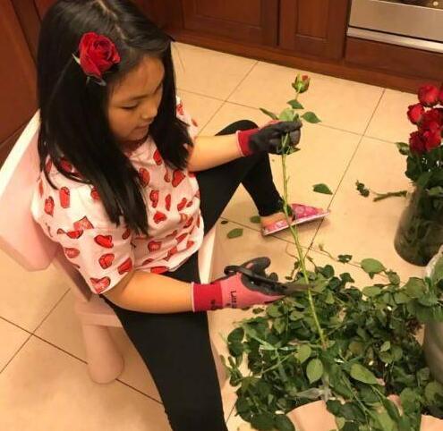 李湘晒女儿插花照 王诗龄多才多艺李湘下足了功夫