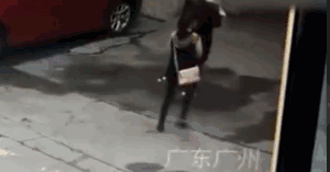天降大狗砸中路人 女子颈椎被砸断手脚动不了,高位截瘫