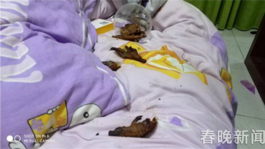 不忍看！丽江一客栈 两女房客将房间变成了垃圾场