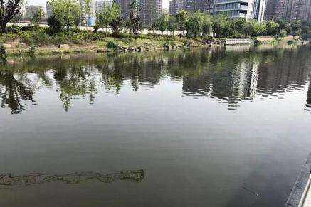 新娘心碎!新婚男子离奇失踪 3天后遗体在河道却已是天人永隔