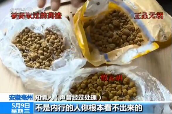 触目惊心！覆盆子里掺山莓……低价中药材原来是这么来的！