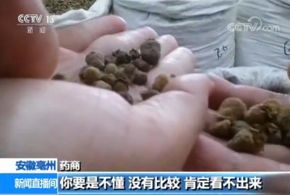 触目惊心！覆盆子里掺山莓……低价中药材原来是这么来的！