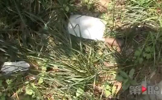 重庆一小区“天降菜刀” 住户称老人手脚不便将菜刀掉落