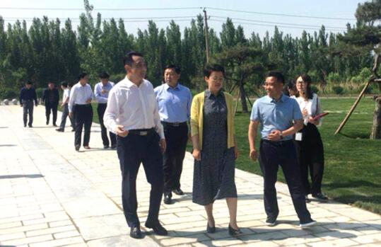 王桂英调研华阳宫修缮工作