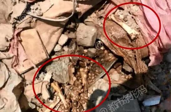 复活走私肉?垃圾场挖冻肉销售 鸡爪、鸡翅长满蛆虫散发着腐臭味