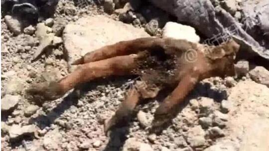 什么人在操纵？村民垃圾场挖冻肉销售 腐败坏肉上餐桌