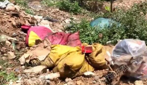 什么人在操纵？村民垃圾场挖冻肉销售 腐败坏肉上餐桌