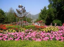 第十届北京月季文化节在世界花卉大观园开幕 月季主题展区集体“亮相”