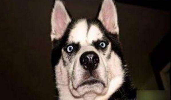 玩游戏花170万 女孩用亲身经历告诉我们沉迷网游危害有多大