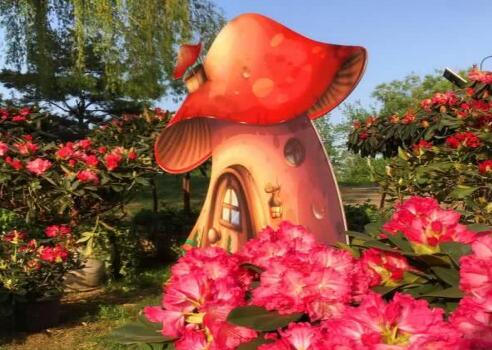 北京月季文化节五月如期举办 花卉大观园月季花海五彩斑斓