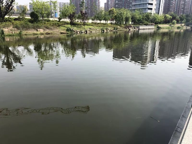 新婚7天离奇失踪 万万没想到结果竟然是......