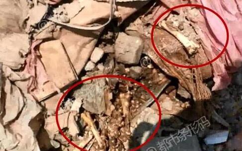 不忍直视！垃圾场挖冻肉销售 这些腐臭肉从哪儿来将到哪去？