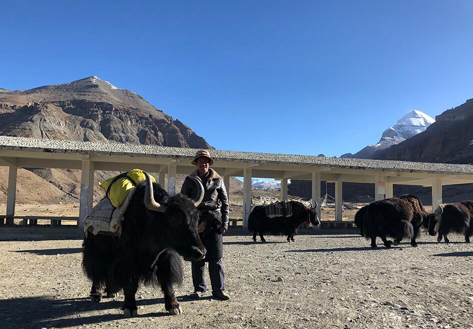 【新时代·幸福美丽新边疆】西藏阿里：驮出来的幸福生活