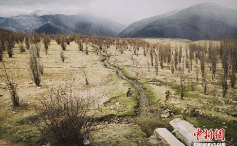 忆往昔自力更生创列麦精神 看今朝传承生生不息