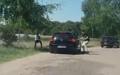 猎豹围攻下车游客 法国游客一家五口在荷兰野生动物园遇险