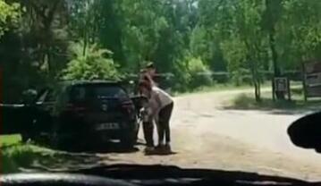 猎豹围攻下车游客 法国游客一家五口在荷兰野生动物园遇险