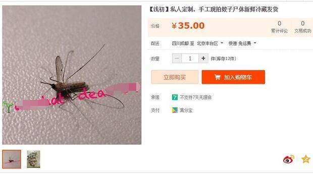 有人买？淘宝店主卖符咒 淘宝奇葩商品排行榜野生奥特曼（包邮）