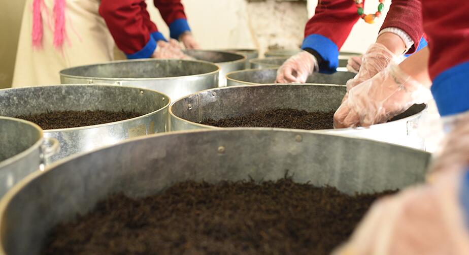 【新时代·幸福美丽新边疆】勒布沟里茶飘香 经济马车更驰骋