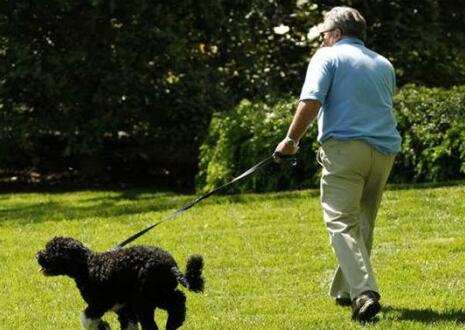 惊魂!老人公园遛狗中箭 爱好者相约练箭闯大祸老人腿部中箭
