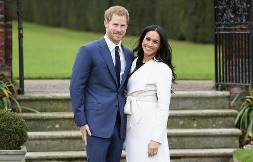 哈里王子即将大婚 10条小狗将在哈里王子大婚时被收养