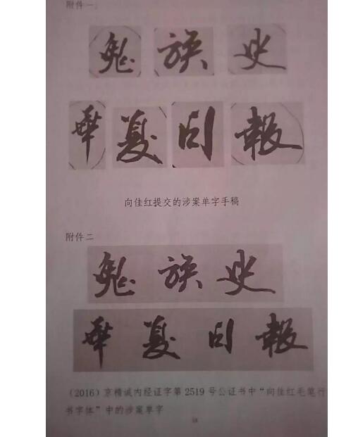九层妖塔字体侵权 电影制作方、发行方等4被告赔偿书法家向佳红14万