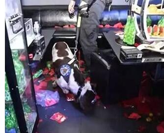 深圳警察突袭夜店 400警力突击打击新型毒品犯罪网!