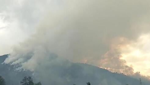 大理苍山发生火灾 1500余人连夜扑火火势被成功控制