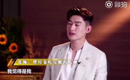 惨成表情包?张翰回应被恶搞 像刺猬一样别人说什么都想去反抗