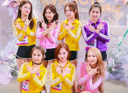 你pick谁?101小姐姐们学历 华东师范、中传...这么优秀还这么拼!