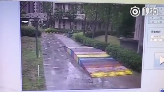 可怕一幕！电梯中被闻后背 女子报警后发现真相远远没这么简单