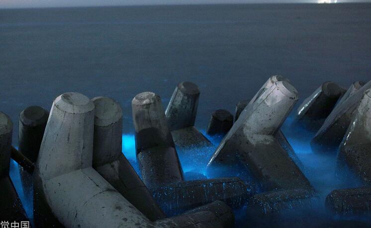 如梦似幻！山东现荧光海滩 