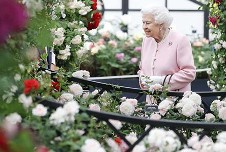 精神矍铄！英女王参观花展 万紫千红的花朵吸引了无数游人