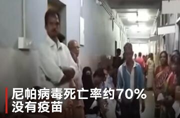 印度爆发尼帕病毒致11死 死亡率高达75%暂无疫苗有效治疗 