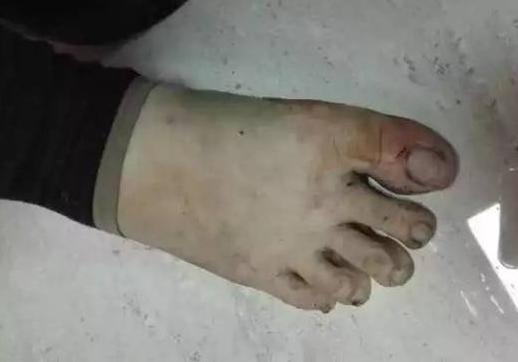 脑子进水了?模仿抖音菜换肉