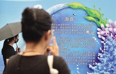 浙江温州联合海葬 64位逝者骨灰踏浪而去回归自然