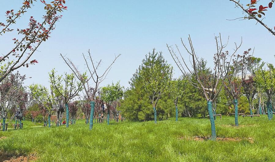 一幅3万平方米的山水画