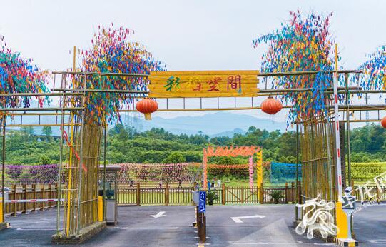 乡村旅游让“候鸟”归巢 看梁平双桂田园的乡村振兴梦