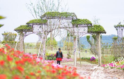 乡村旅游让“候鸟”归巢 看梁平双桂田园的乡村振兴梦