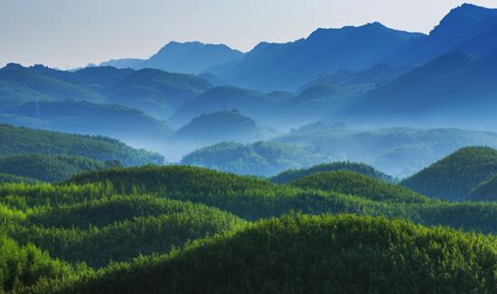 中国最大寿竹海百里竹海6月开园 内藏唐代荔枝古驿道