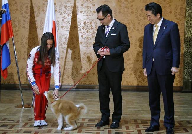 又来这招！安倍赠送秋田犬给俄美女运动员 送给普京的那只还好吗？