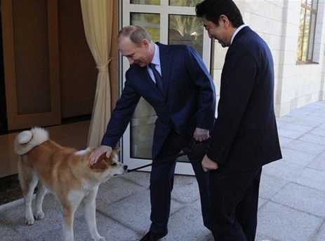 又来这招！安倍赠送秋田犬给俄美女运动员 送给普京的那只还好吗？