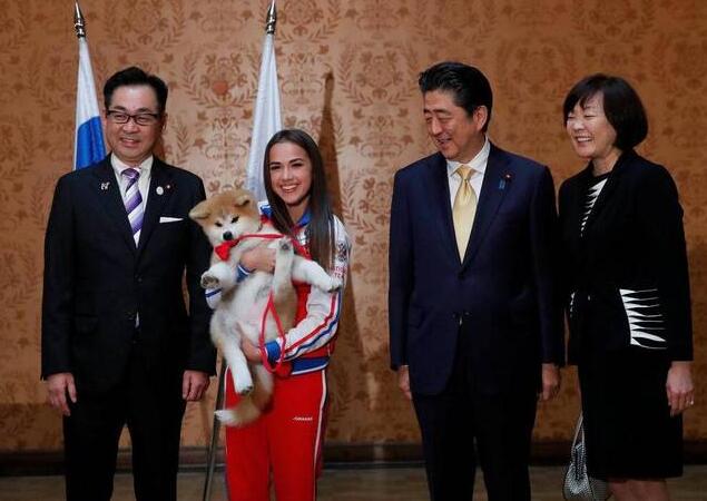 宠物外交!安倍赠送秋田犬 向俄罗斯花滑选手扎吉托娃赠送日本名犬