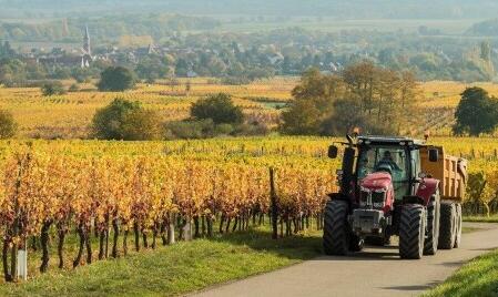 还有这种操作?球迷坐拖拉机赴俄世界杯 铁杆粉丝